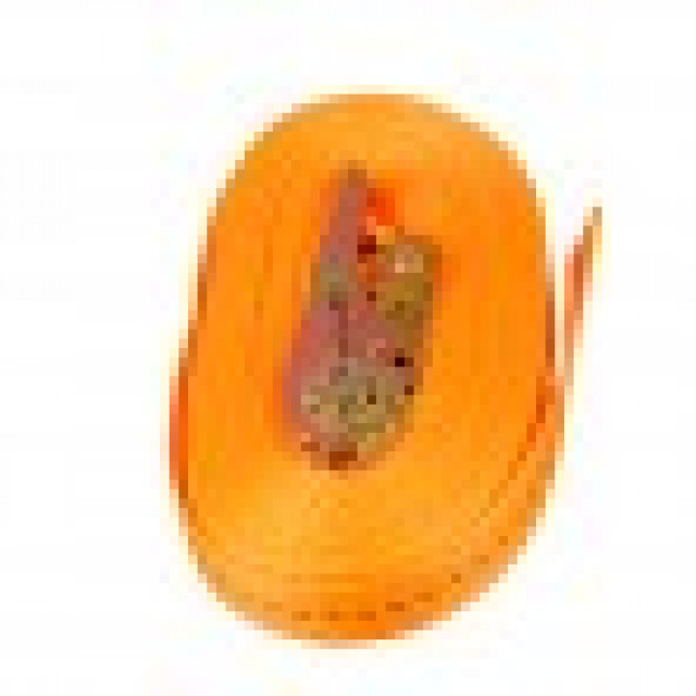 Autotransport Spanngurt Zurrgurt orange - Sonstige Anzeigen - Thun