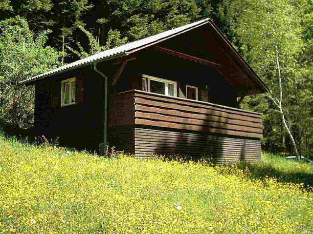 HERBSTZEIT AM BODENSEE - Ferienwohnung Haus - Hohenweiler