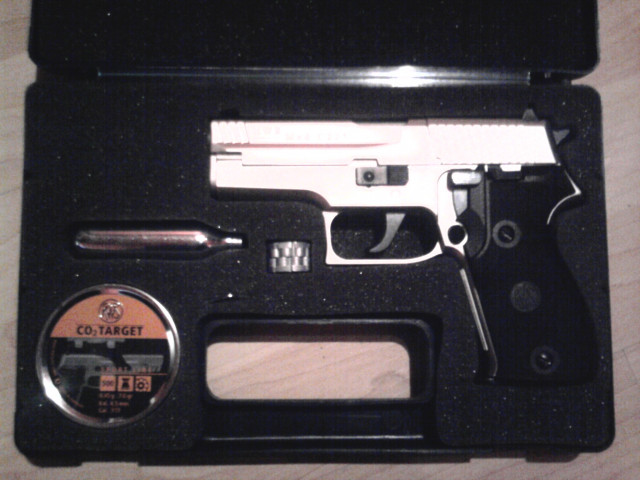 RWS Mod. C225 vernickelt (CO2-Luftpistole) - Sport - Lemgo