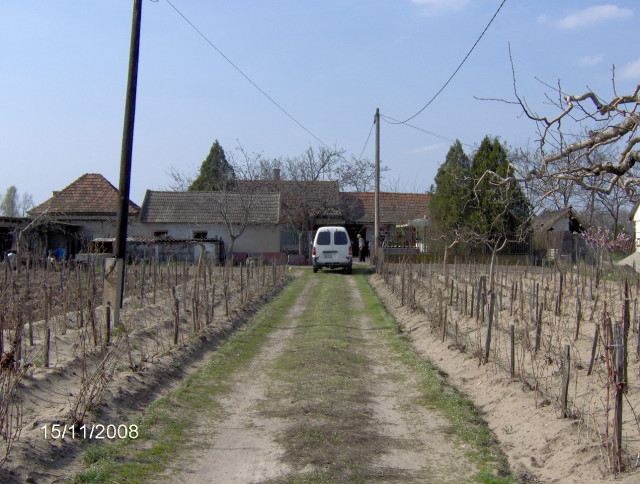 Ungarischen Gutshof zu verkaufen in Badestadt Kiskőrös - Ferienwohnung Haus - Kiskőrös, Öregszőlő 40., H-6200