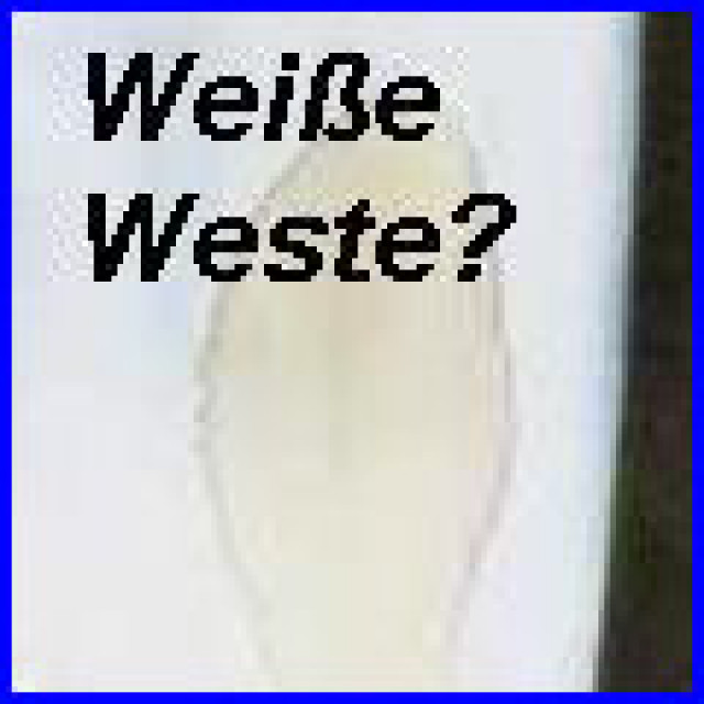 Schufa-Probleme, eingeschränkte Lebensqualität? - Stellenmarkt - Friedrichshafen