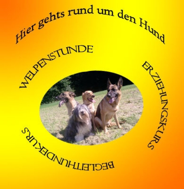 Hundeschule-Dogcoaching-Pension, hier gehts rund um den Hund - Tiere - Kraichtal