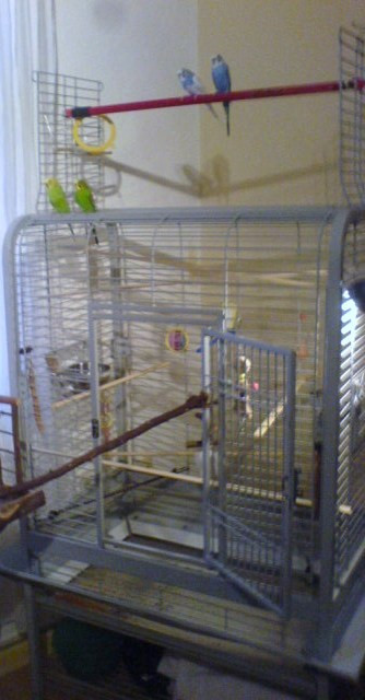 Voliere zu verkaufen! - Tiere - berlin