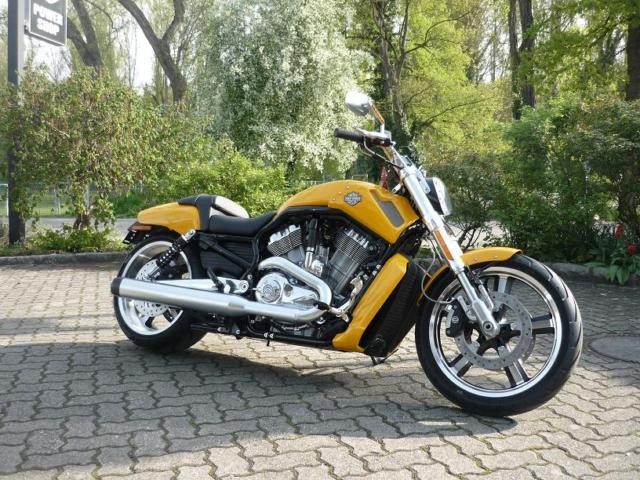 2011 Harley Davidson VRSCF V-Rod Muscle - Motorraeder und Teile nach Marken - Stuttgart