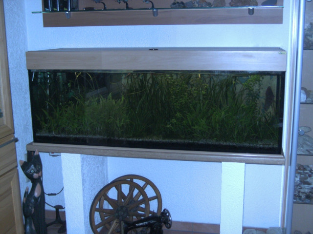 Aquarium-Abzugeben - Tiere - Düeren