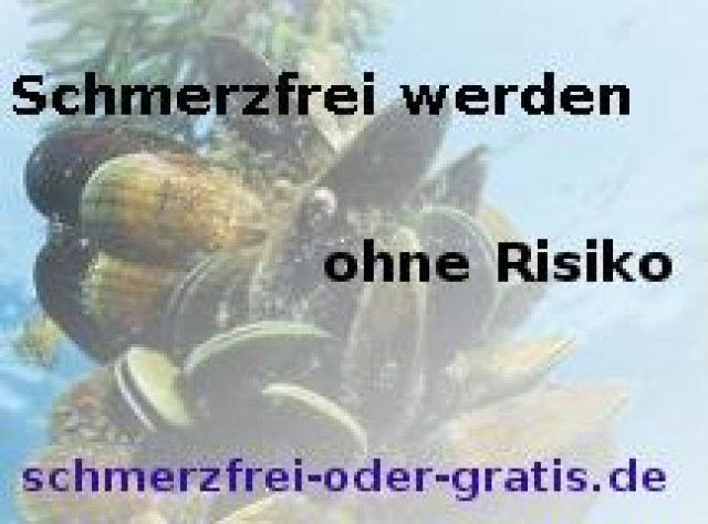 Schmerzfrei in 90 Tagen oder komplett Gratis - Sonstige Anzeigen - Espelkamp