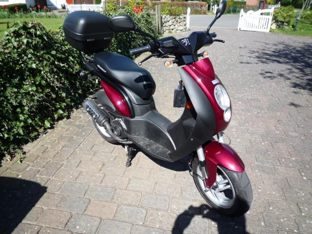 Neuwertiger Motorroller Peugeot Ludix 50 Trend umständehalber zu verkaufen - Motorraeder und Teile nach Marken - Büsum/Wds.