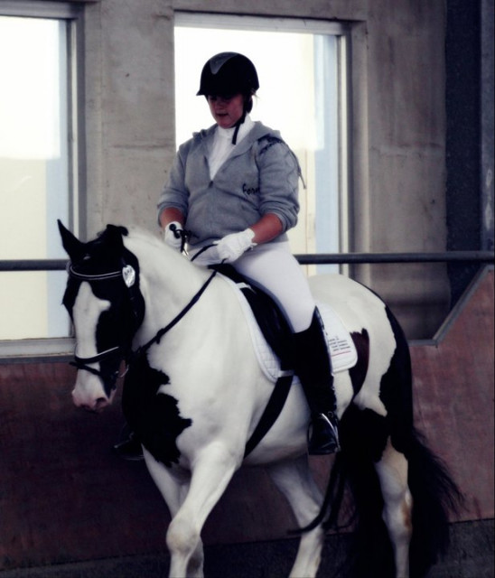 Reitbeteiligung - Tiere - Alpen