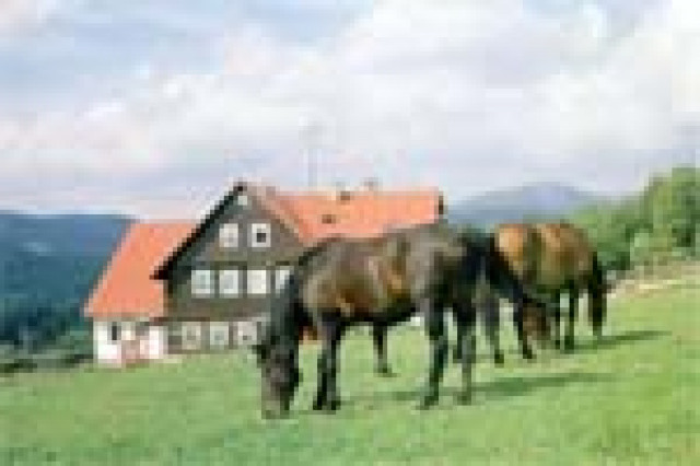 Ferienhäuser und Ferienwohnungen in Tschechien - Ferienwohnung Haus - Germaniastr. 3