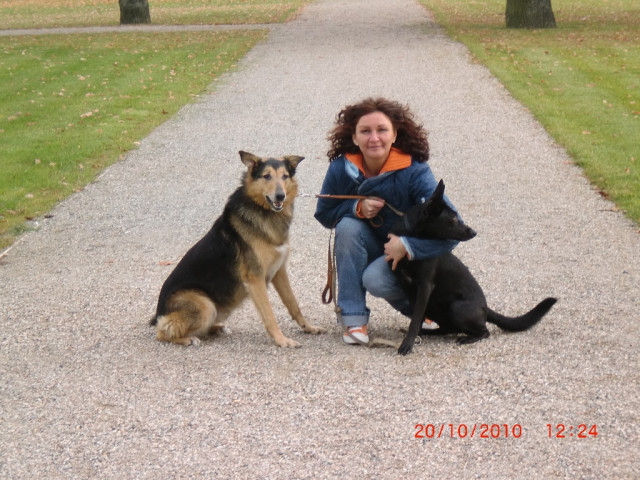 Intensivkurse in den Sommerferien - Lernen Lehren Lesen - Peine/Telgte