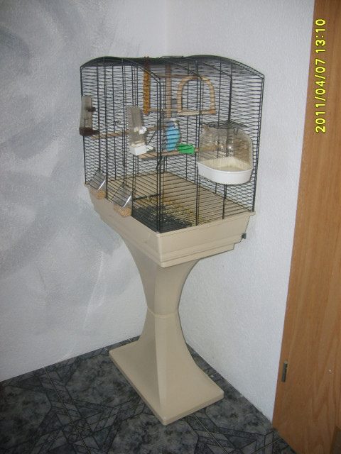 Zu verschenken - Tiere - Geisingen