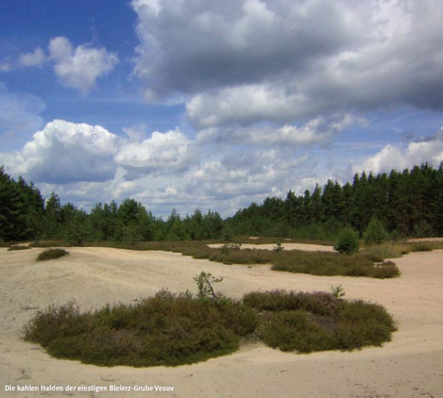 Geotouren   geologische Besonderheiten im Amberg-Sulzbacher Land entdecken - Hobby Spiele - amberg
