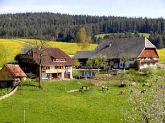 Familienurlaub auf dem Mooshof - Ferienwohnung Haus - Schramberg-Tennenbronn