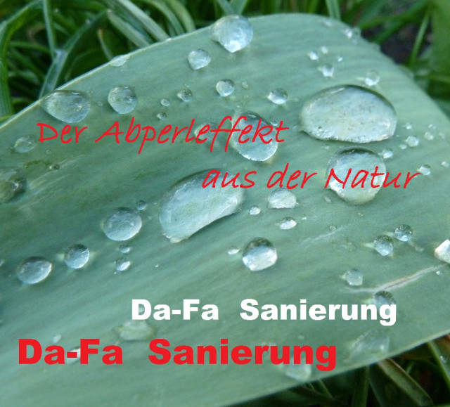 Dachbeschichtung Fassadenreinigung Nanoversiegelung - Handwerk Hausbau Garten - Potsdam