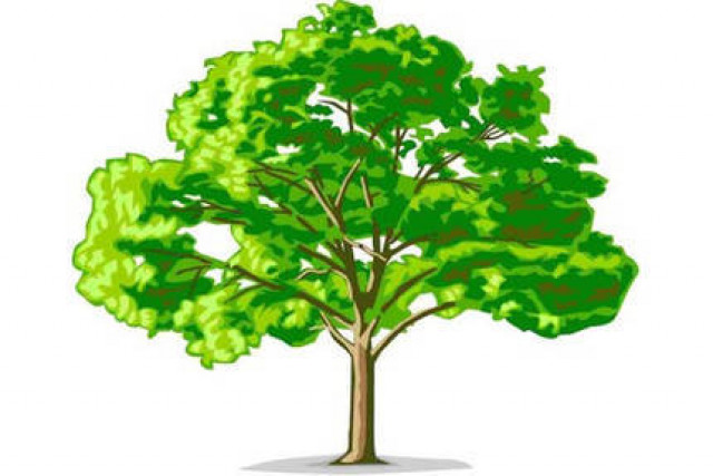 Gartenpflege - Dienstleistungen Business Gewerbe - Bruckmühl