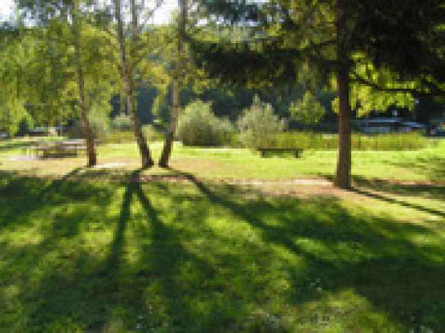 Camping zwischen Wald und Reben - Camping - Guldental