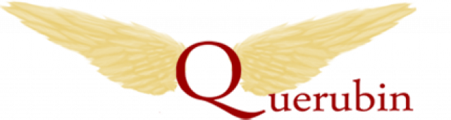 Schauen Sie in die Zukunft und nutzen Sie ein 15min Gratisgespräch bei Querubin. - Dienstleistungen Business Gewerbe - Mönchengladbach