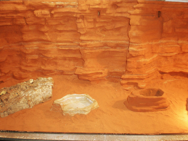 Top-Angebote - Tiere - Erfurt