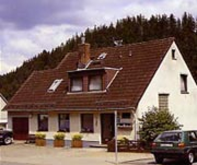 Pension zu verkaufen - Immobilien - Altenau