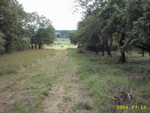 WEIDELAND inkl. OBSTWIESE - Immobilien - trügleben