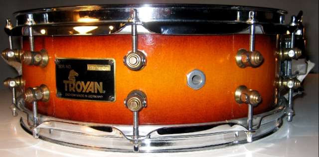 Troyan Maple Snare 14 x 4 von Profidrummer - Musik - berlin