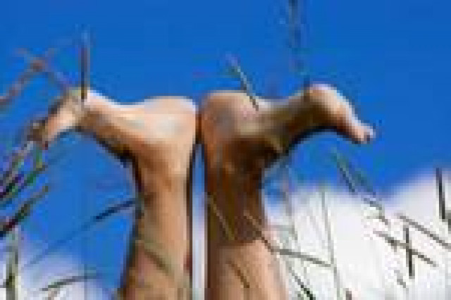 Mobile Fußpflege - Wellness Gesundheit - Rumohr