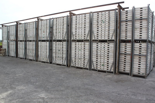 Peri Skydeck Deckenschalung 3 Jahre alt, in top Zustand günstig zu verkaufen - Handwerk Hausbau Garten - Günzburg