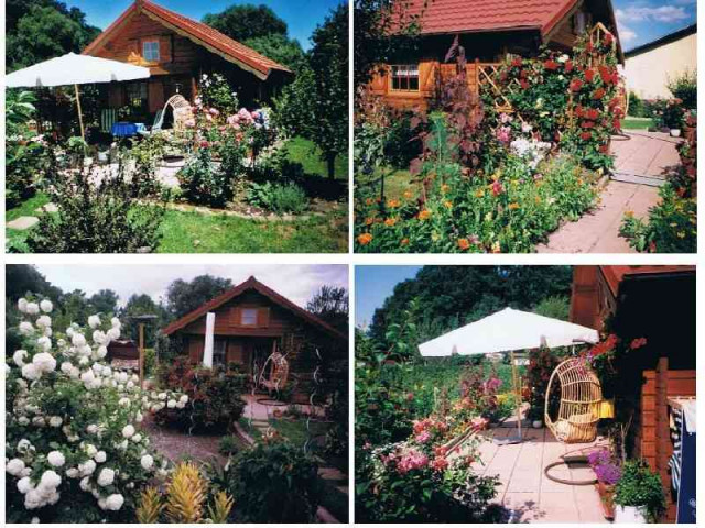 Grüne Oase in Luckenwalde auf 316m Gartenpachtland - Immobilien - Potsdam