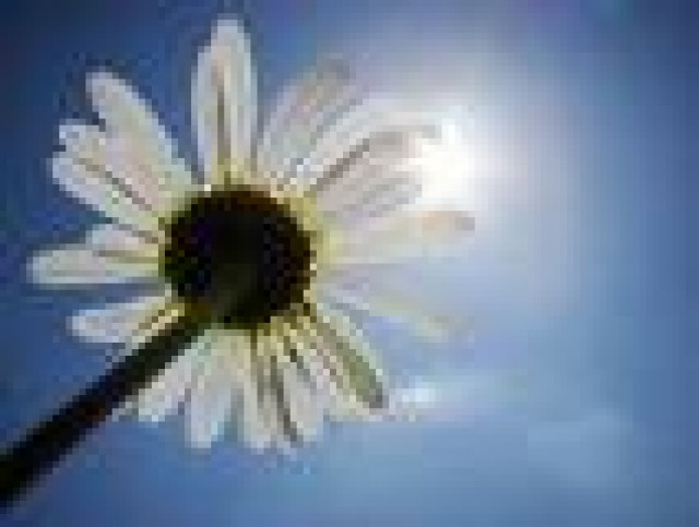 Damit der Genuss ohne Reue bleibt  - Hobby Spiele -  Fürth