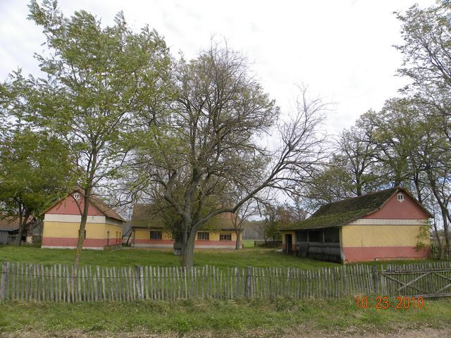 In Ungarn ein günstiges Bauernhaus ist zu verkaufen(4ha Land) - Immobilien - Kiskunmajsa