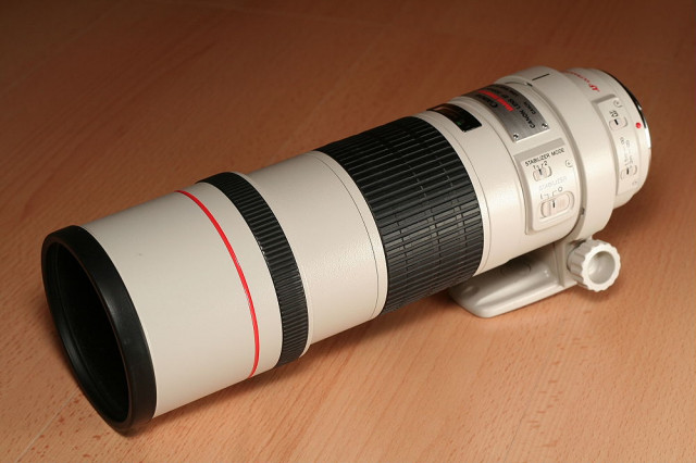 Canon EF 300mm f/4 L IS USM - Foto Film Cam Optik - Cottbus