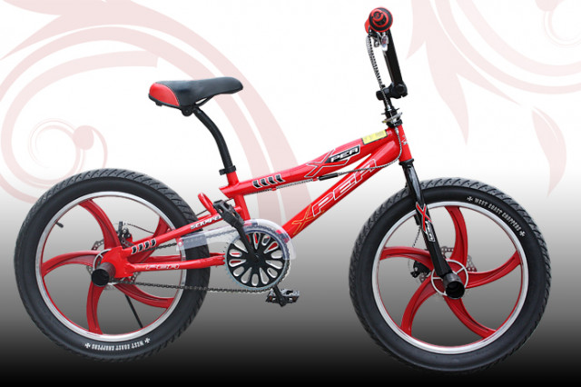 BMX Kinderrad Freestyle BMX-Rad in Silber-weiß-rot erhältlich bei schottenpenny  - Fahrraeder - Essen
