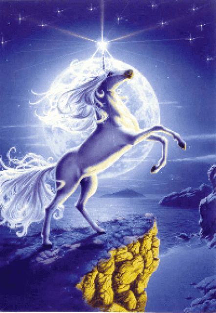 Moderatoren Gesucht - Musik - Kassel