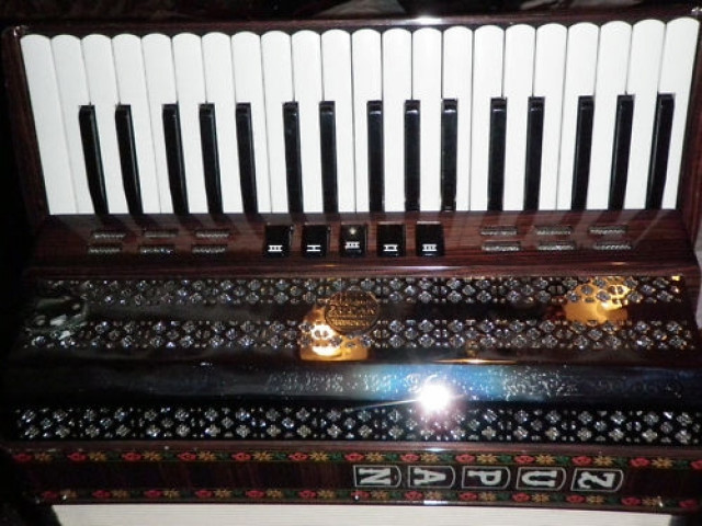 Zupan Alpe 96 Akkordeon  - Musik - München