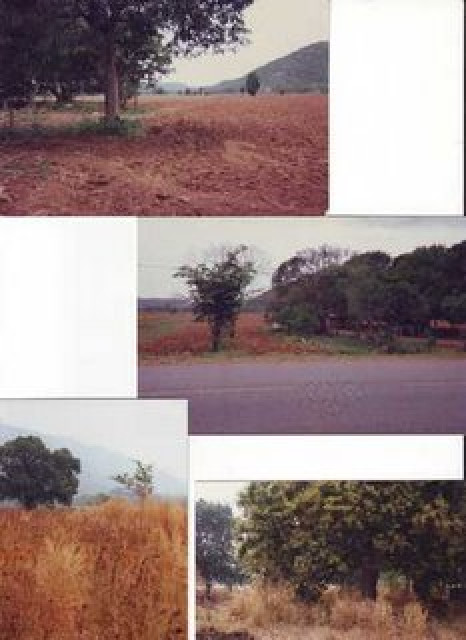 Bauland im Ausland,39936qm - Immobilien - Khok-Dhum / THAILAND