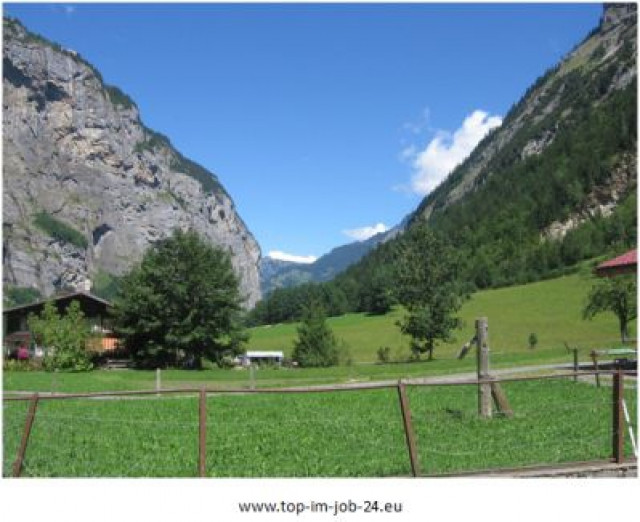 Mit dem PC online arbeiten? Hier ist es als Nebenjob möglich! - Stellenmarkt - Göppingen