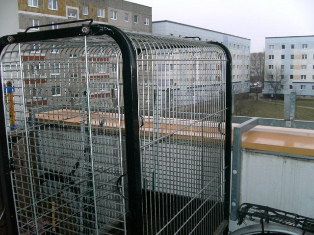 Papageienkäfig - Tiere - Neubrandenburg