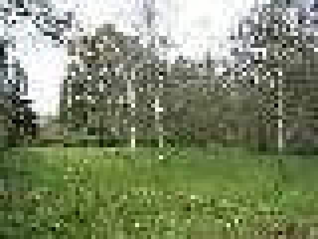 Idyllisches, sonniges Baugrundstück in ÖSTERREICH/Neulengbach - Immobilien - Bremen