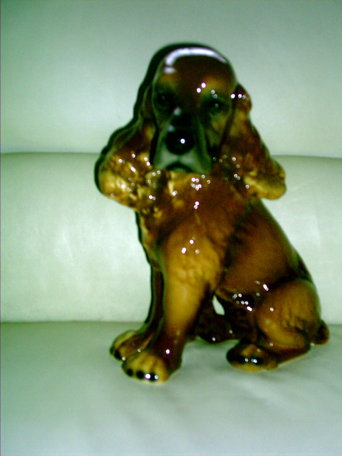Dekofigur Cocker Spaniel, Porzellanfigur - Sammlungen - Remscheid
