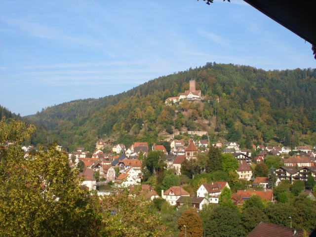 Zwei Zimmer Wohnunng mit Burgblick - Immobilien - 75378 Bad Liebenzell