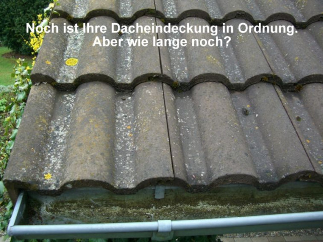 Dachbeschichtung   die günstige Alternative zur Neueindeckung. - Handwerk Hausbau Garten - Neuental-Zimmersrode