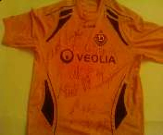 Ich biete gegen Höchstgebot ein Original Dynamo Dresden Spieler T-Shirt. - Sport - Dresden