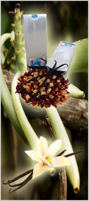 Ihre Chance - Steigen Sie JETZT ein in den Markt mit Zukunft! - Essen Trinken Genuss - Radeberg