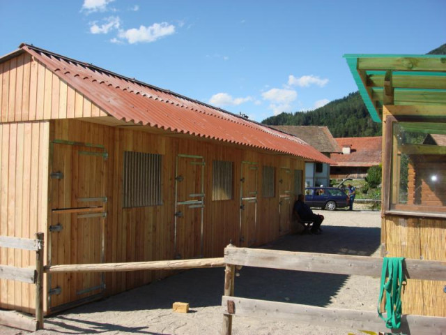 PFERDEAUSSENSTALLBOXEN - Immobilien - hohberg