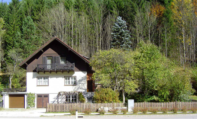 Nettes Einfamilienhaus im Grünen - Immobilien - Kernhof