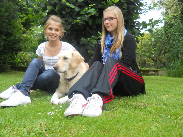 Tierbetreuung - Tiere - Löhne