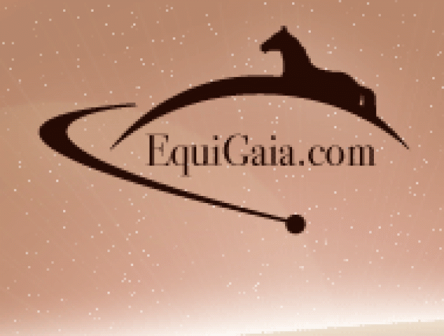 EquiGaia - Pferdemarkt - Tiere - Berlin