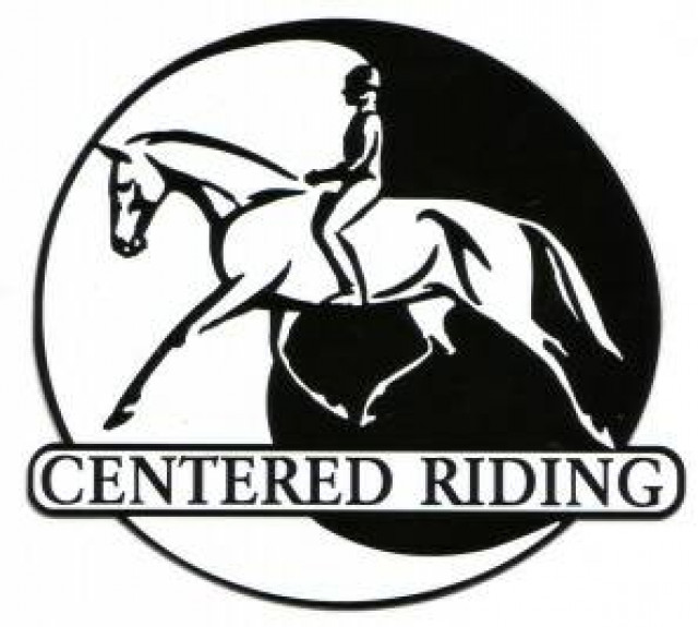 Effektive und nachhaltige Grundausildung für Dressur-, Western- und Springpferde - Sport - Bad Oldesloe
