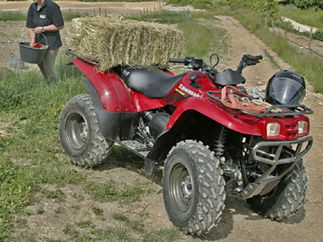 Vermietung Qaud & ATV - Motorraeder und Teile nach Marken - Bad salzungen
