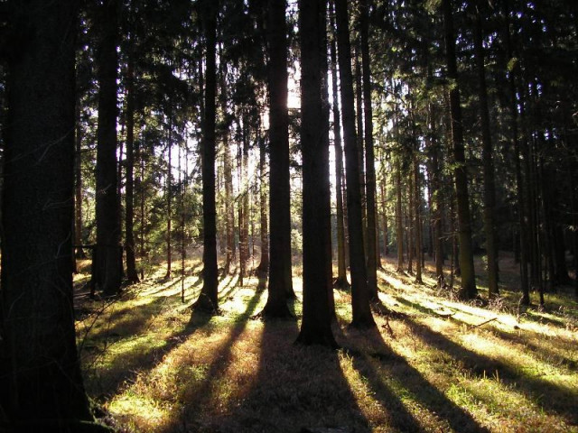 Wanderweg Erzweg - Hobby Spiele - Amberg